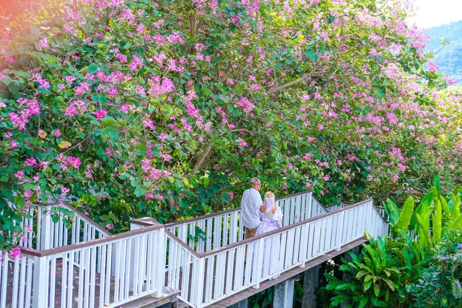 Vivace Khaoyai Hotell Mu Si Exteriör bild